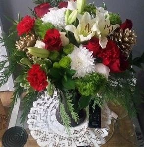 Meet your Posher, Colleen